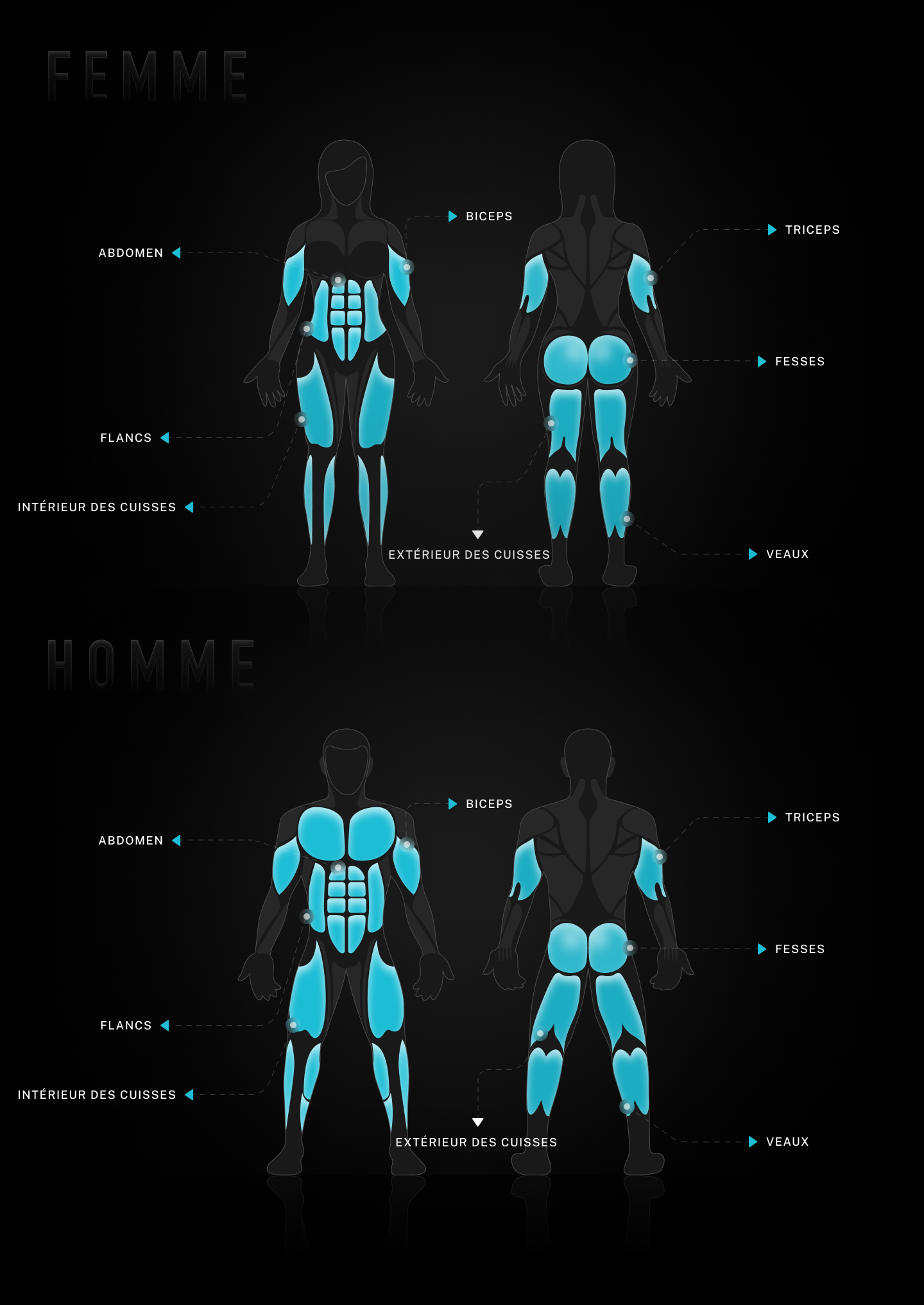 body parts